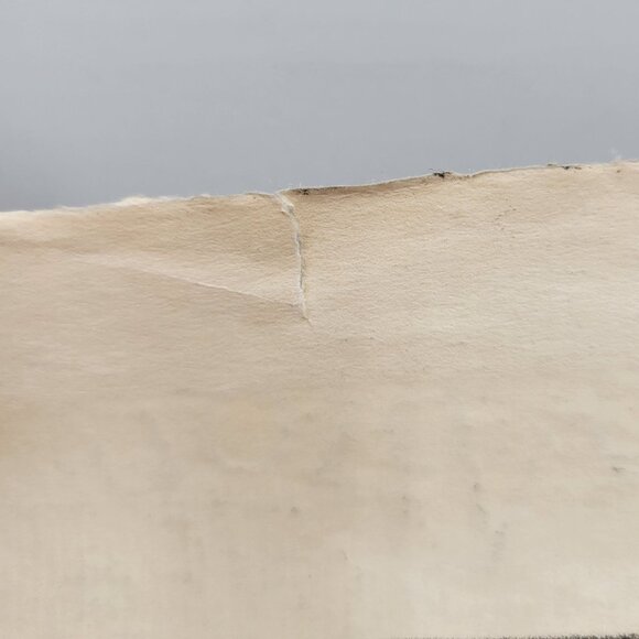 Landscape Scrub Trees Art Print Unframed Black White Signed Lester E Varian - Picture 7 of 7